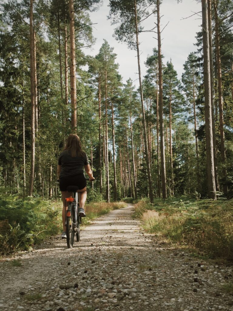 Forestry England